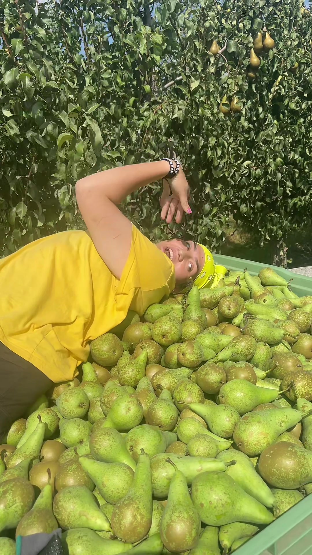 @V🍒