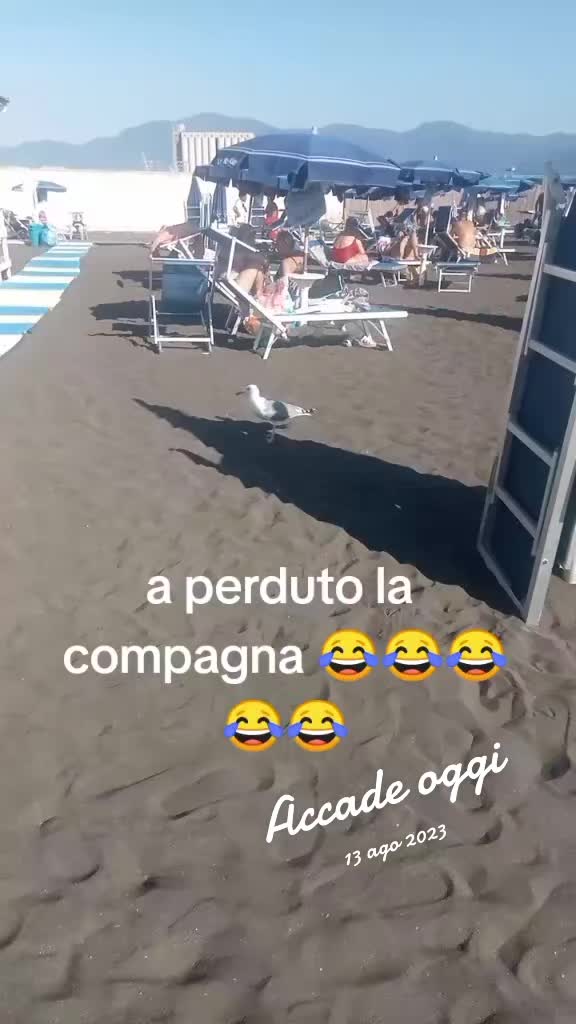 @🎀 Elisabetta ferrara🎀