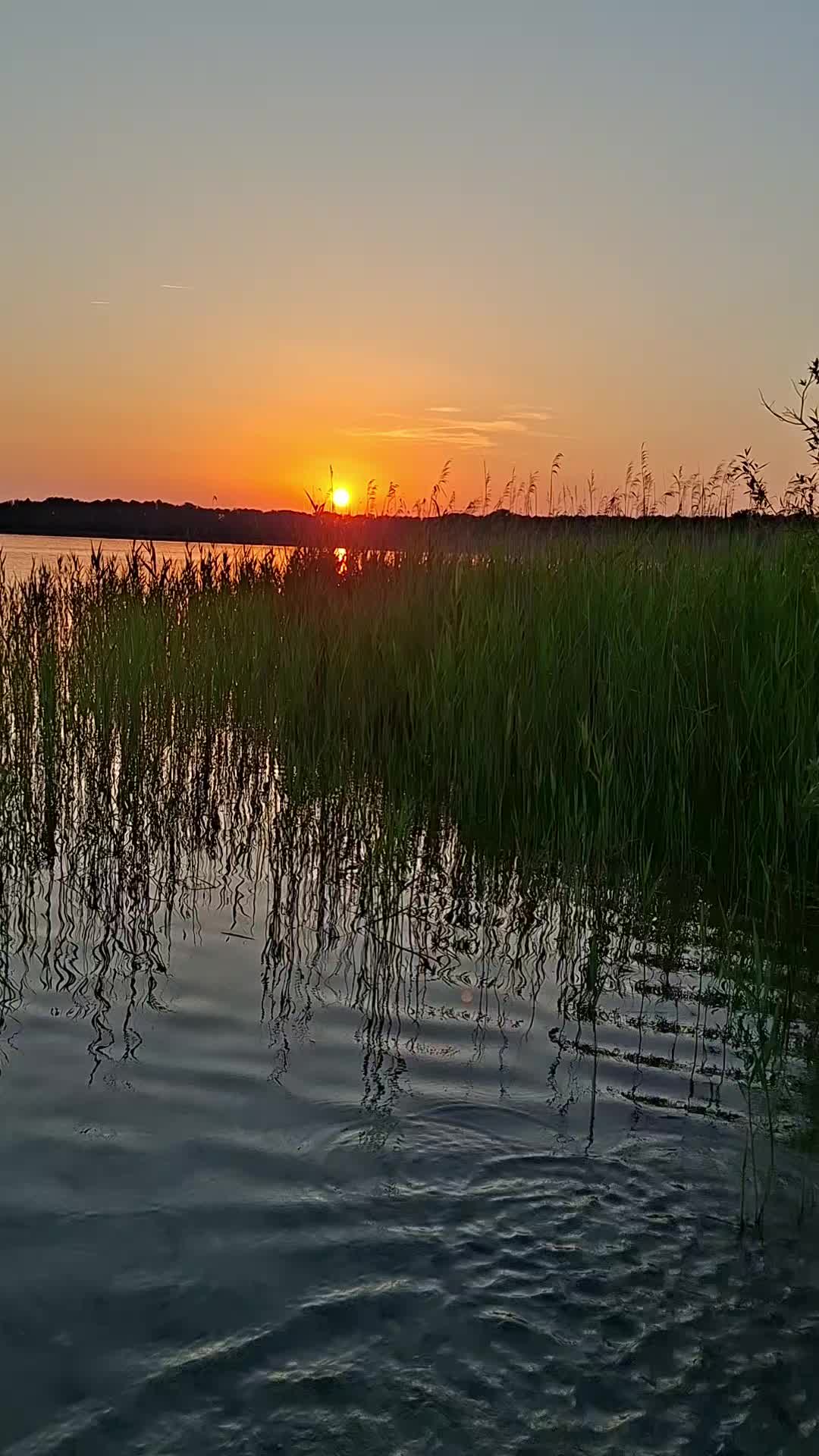 @katrinmenzel51