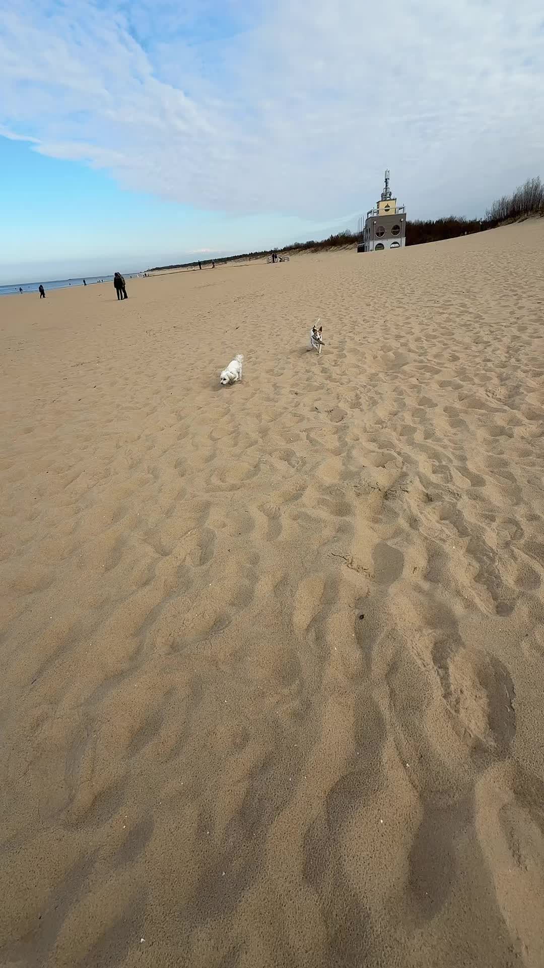 @Zuzka🌸🌊🪸