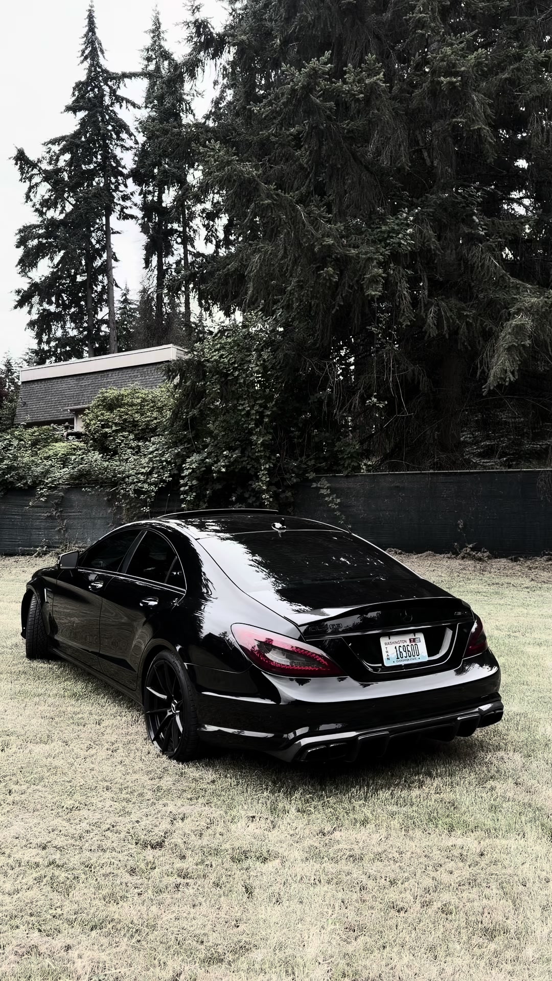 @Multov.77
