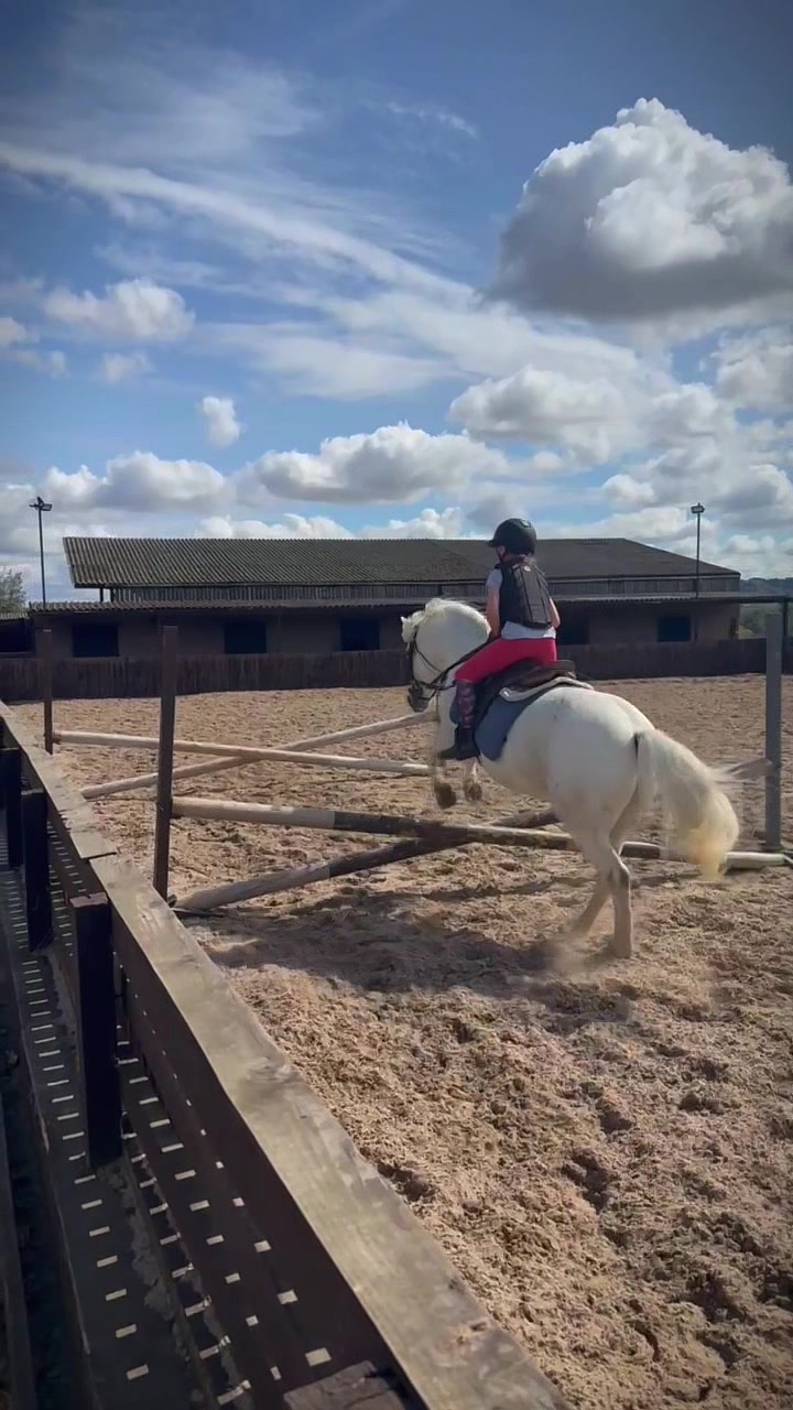 @LottiesHorseAdventures🦄🐴