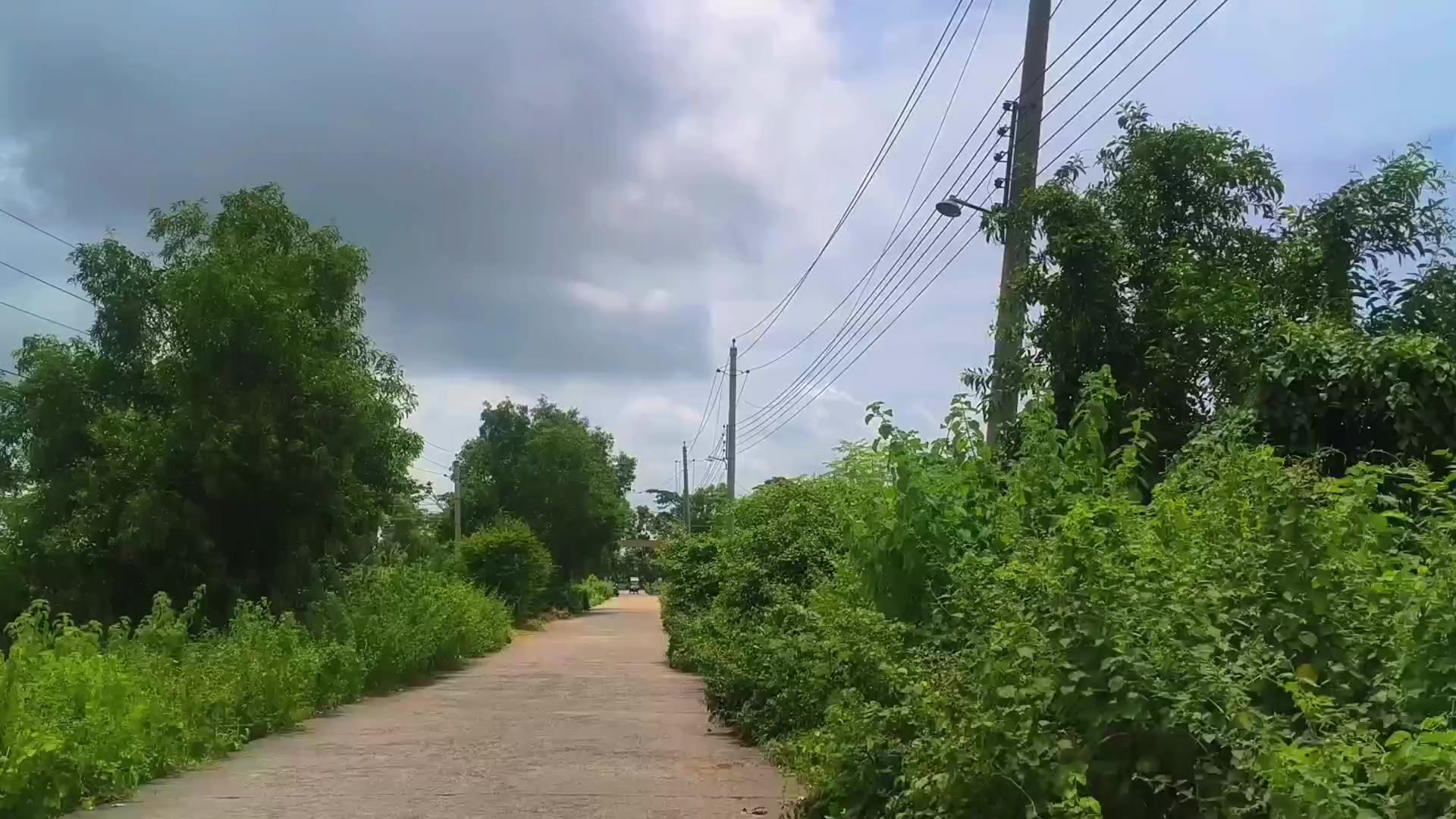 @🍃🕊️ ”প্রকৃতির ছোঁয়া” 🕊️🍃
