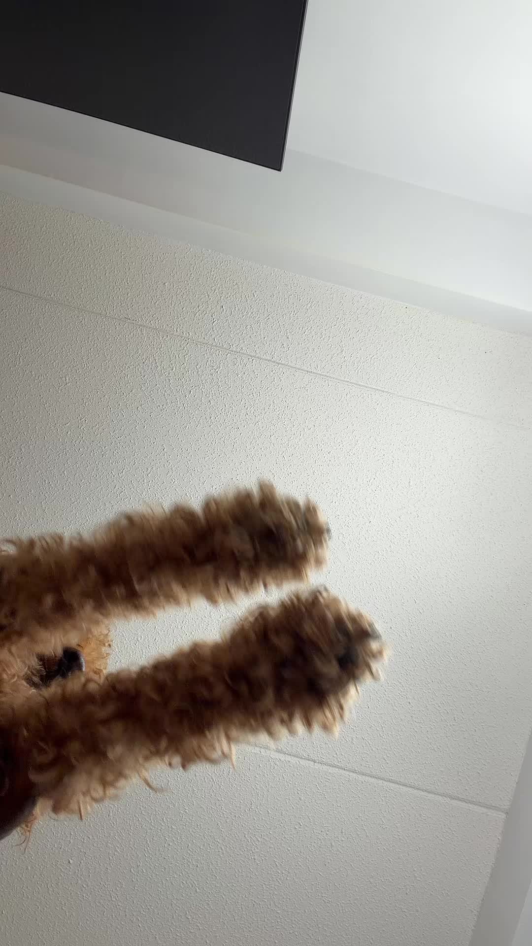 @JOHARIS ๐