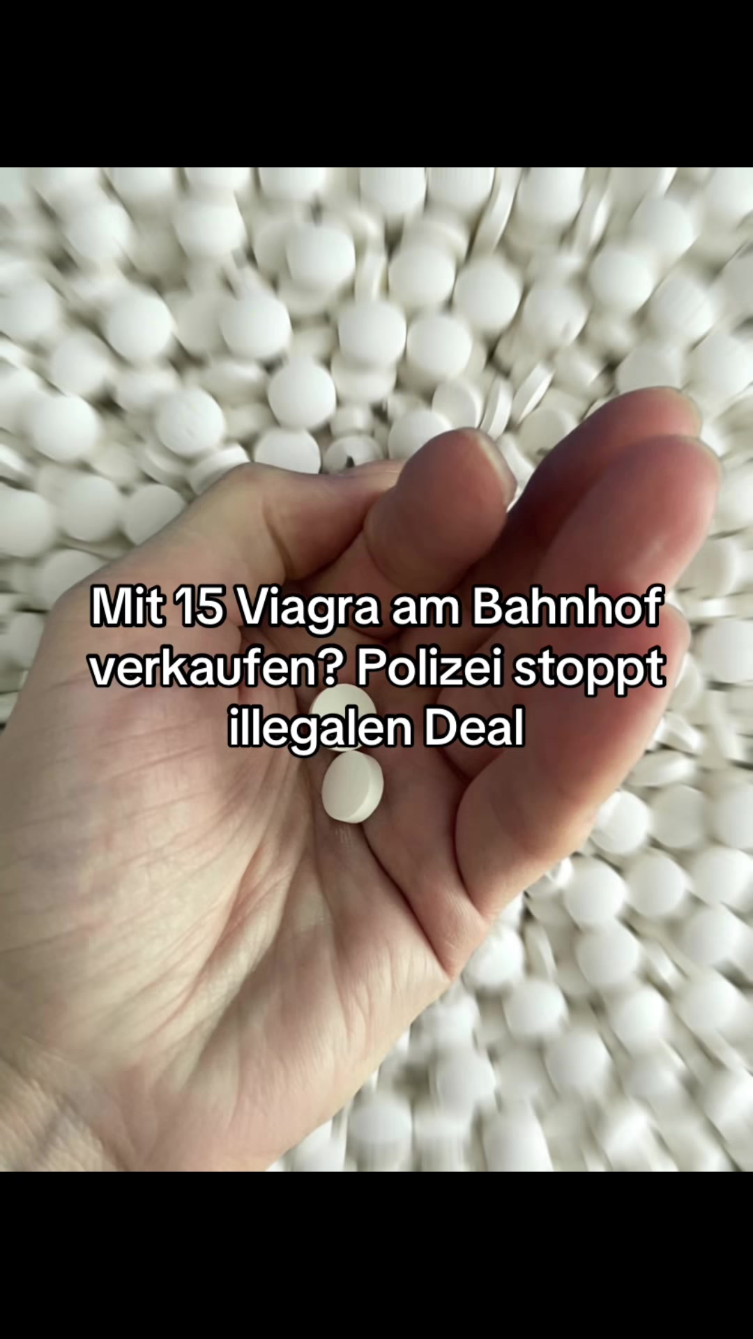 @Schleswig-Holstein pur