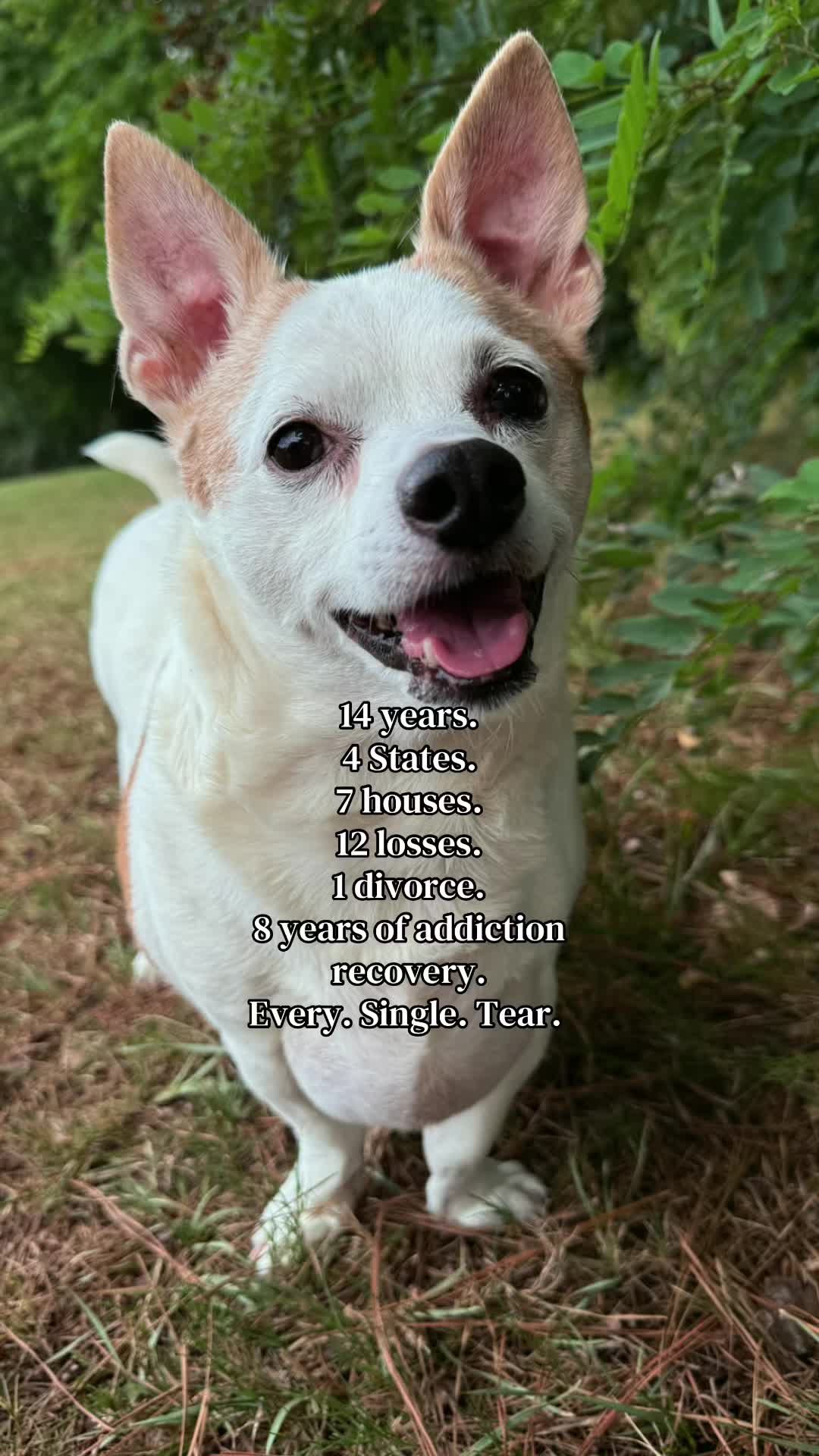 @๐ต๐๐๐ ๐น๐๐๐๐๐แข๐ญฉ