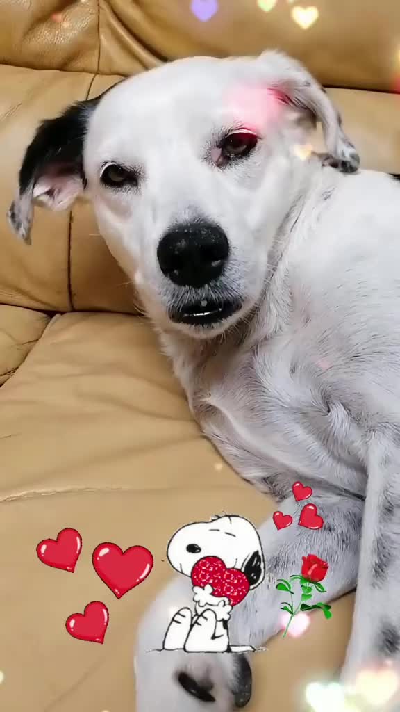 @🖤𝓗𝓸𝓟𝓮🌹
