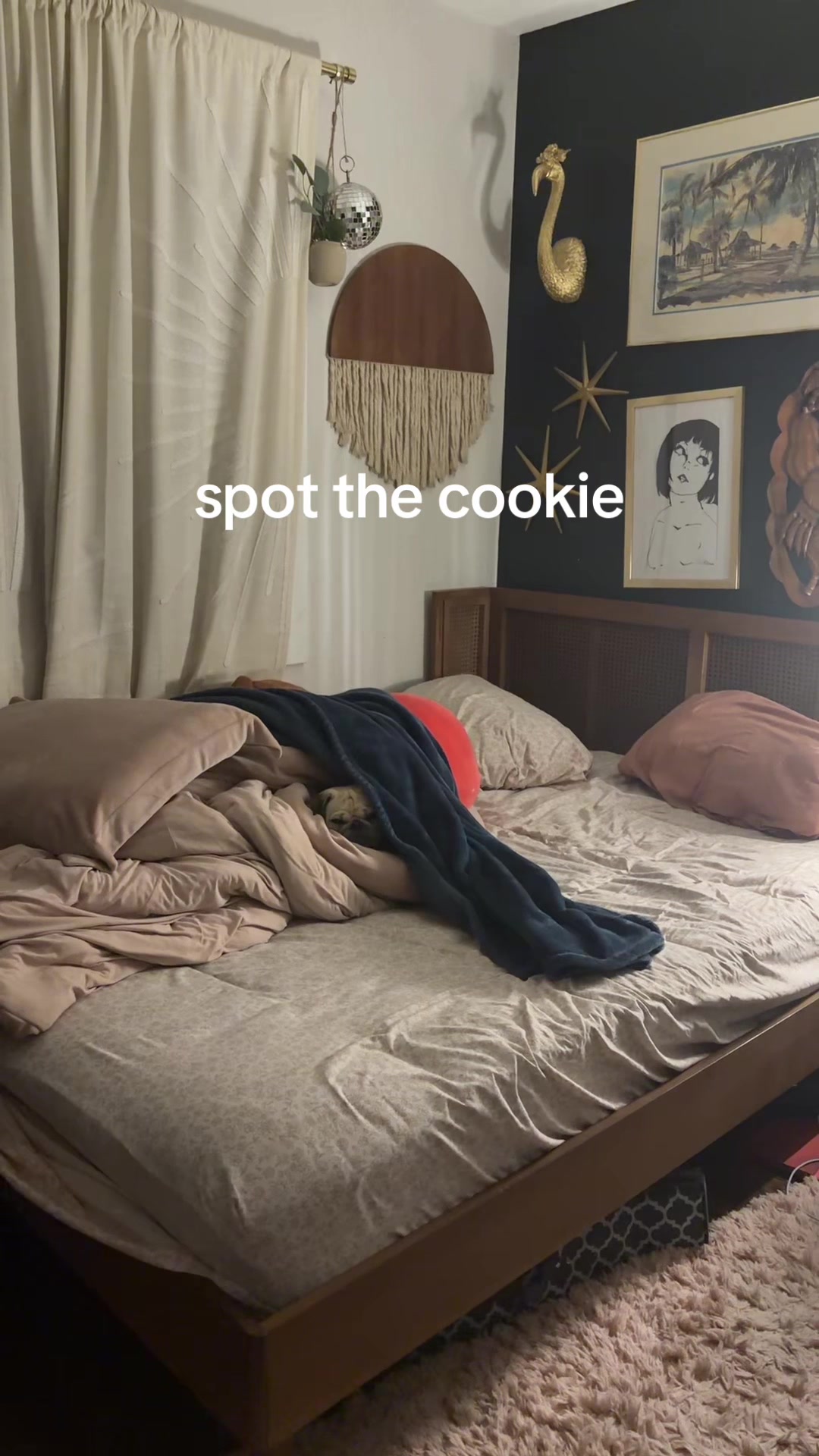 @babycookie