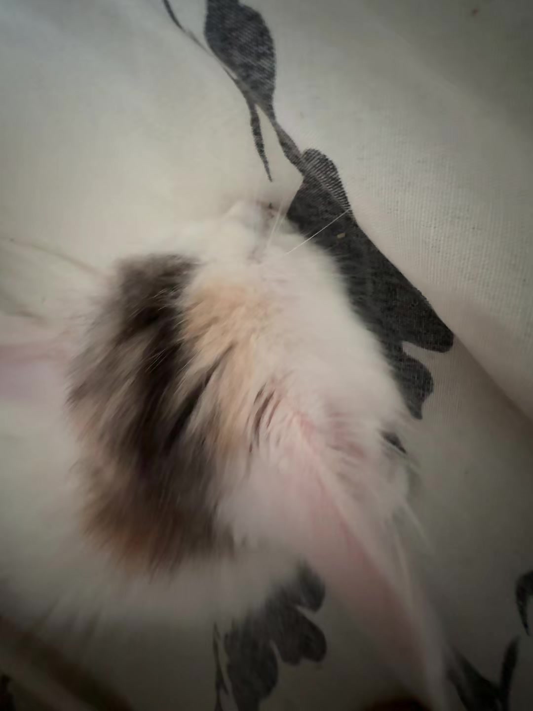 @золото 💗🌷