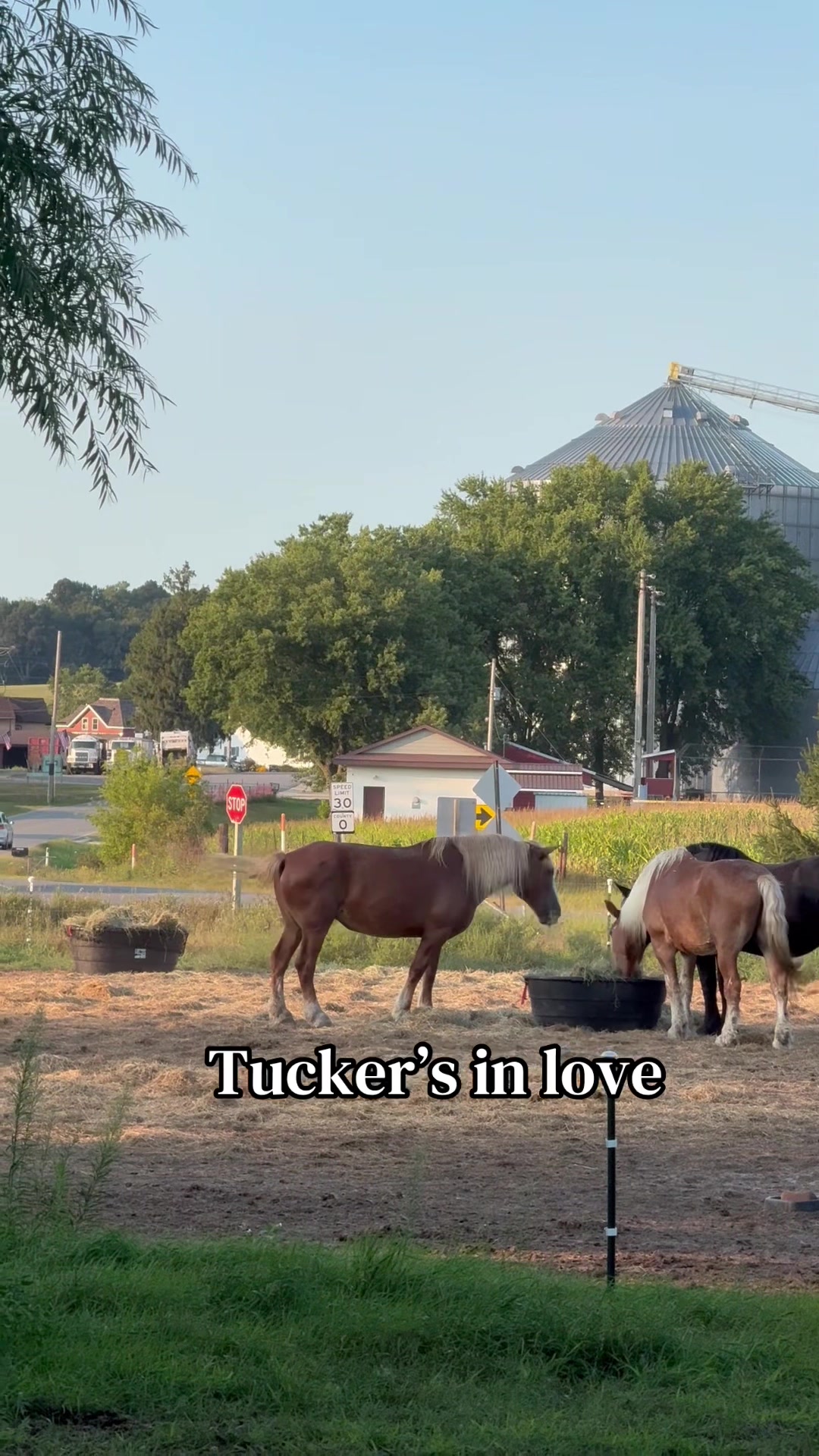 @Safe Place Pastures, Inc.