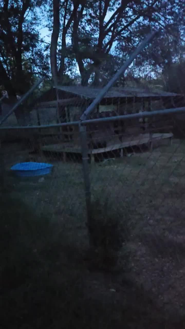 @Cedarhill Animal Sanctuary