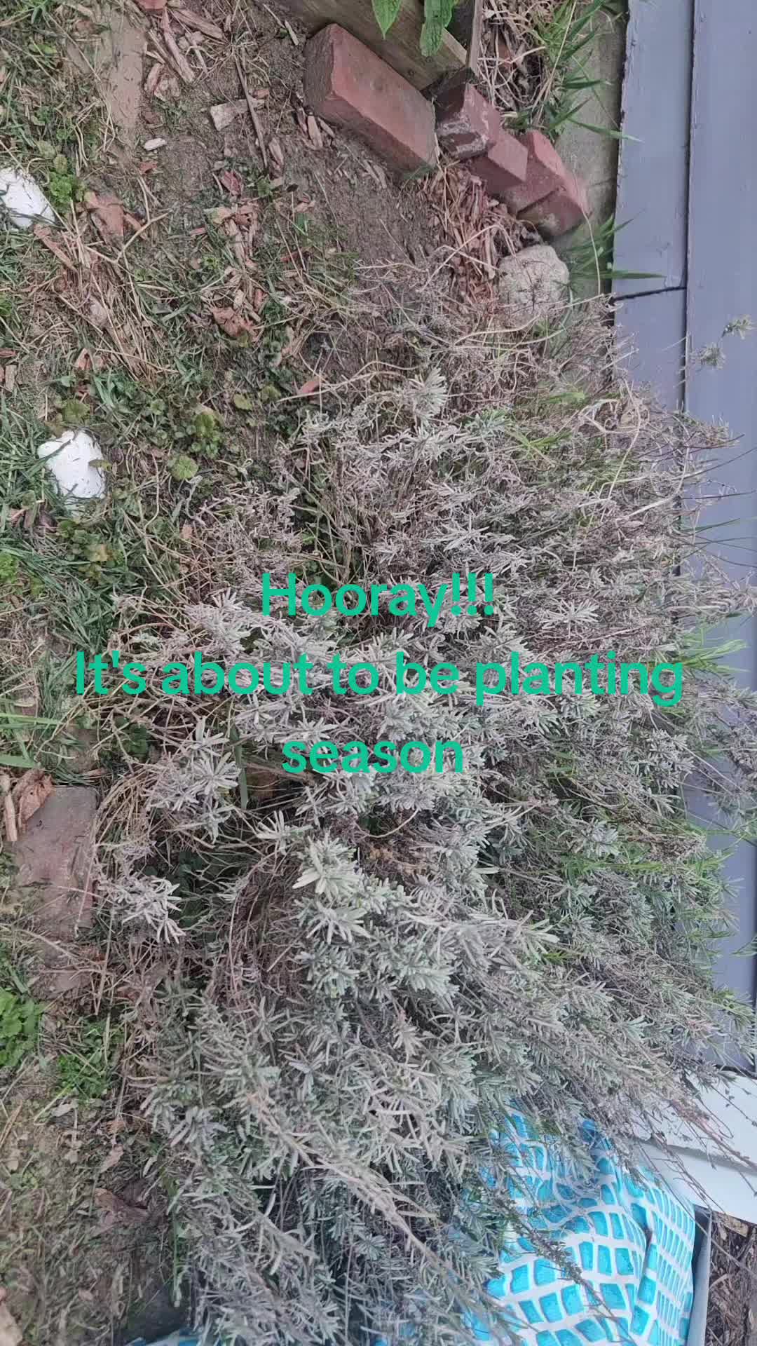 @MelodysReikiHealing