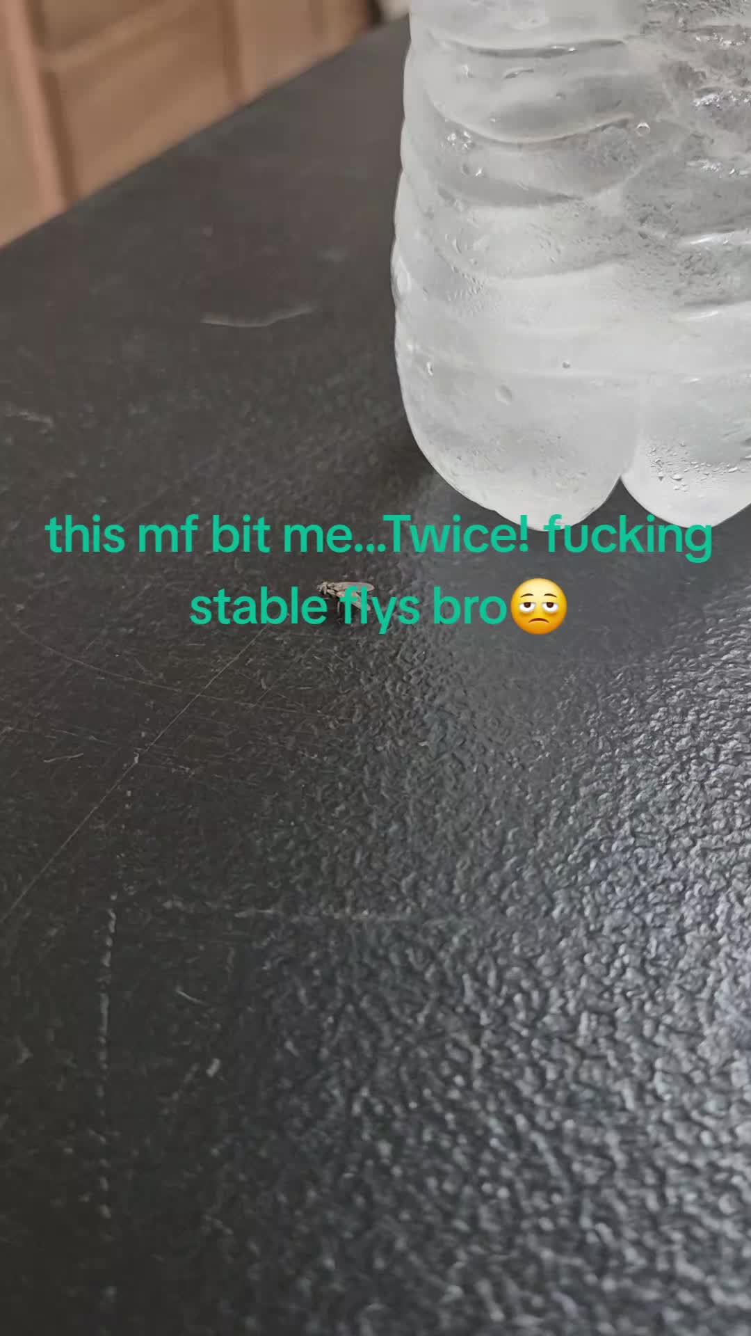 @꧁༺ 𝑺𝒍𝒚》𝑨𝒛𝒖𝒍 ༻꧂