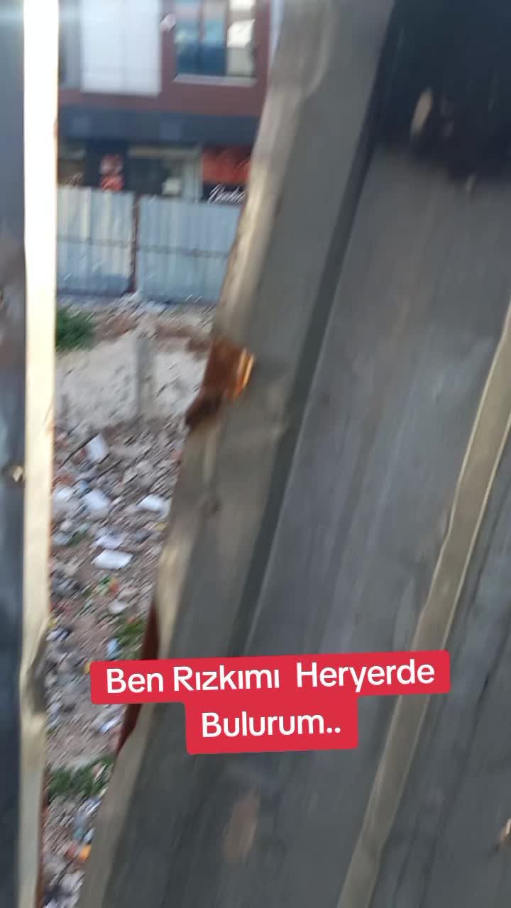 @ÇöpçülerKraliçesi.52..Yedek.💔