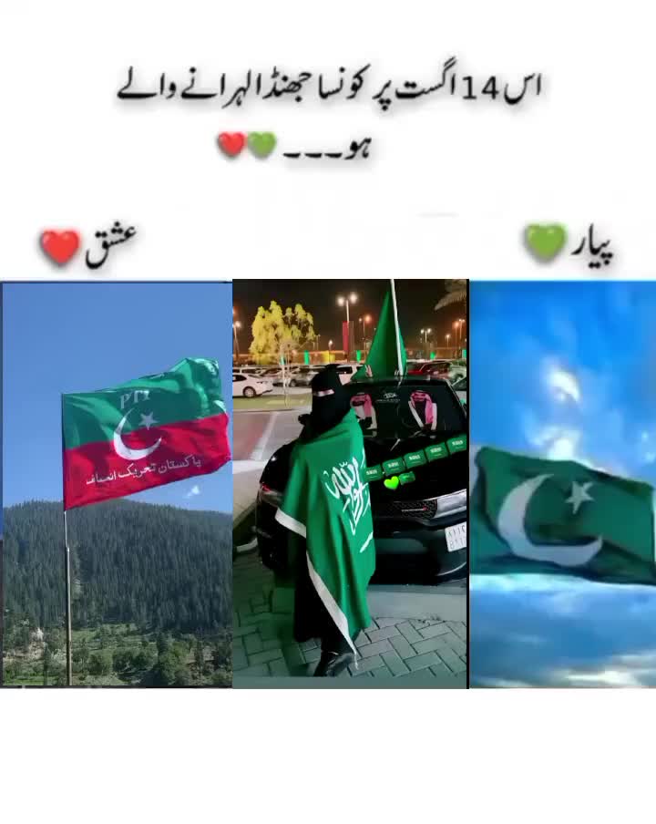 @موني بلوشيه.💙