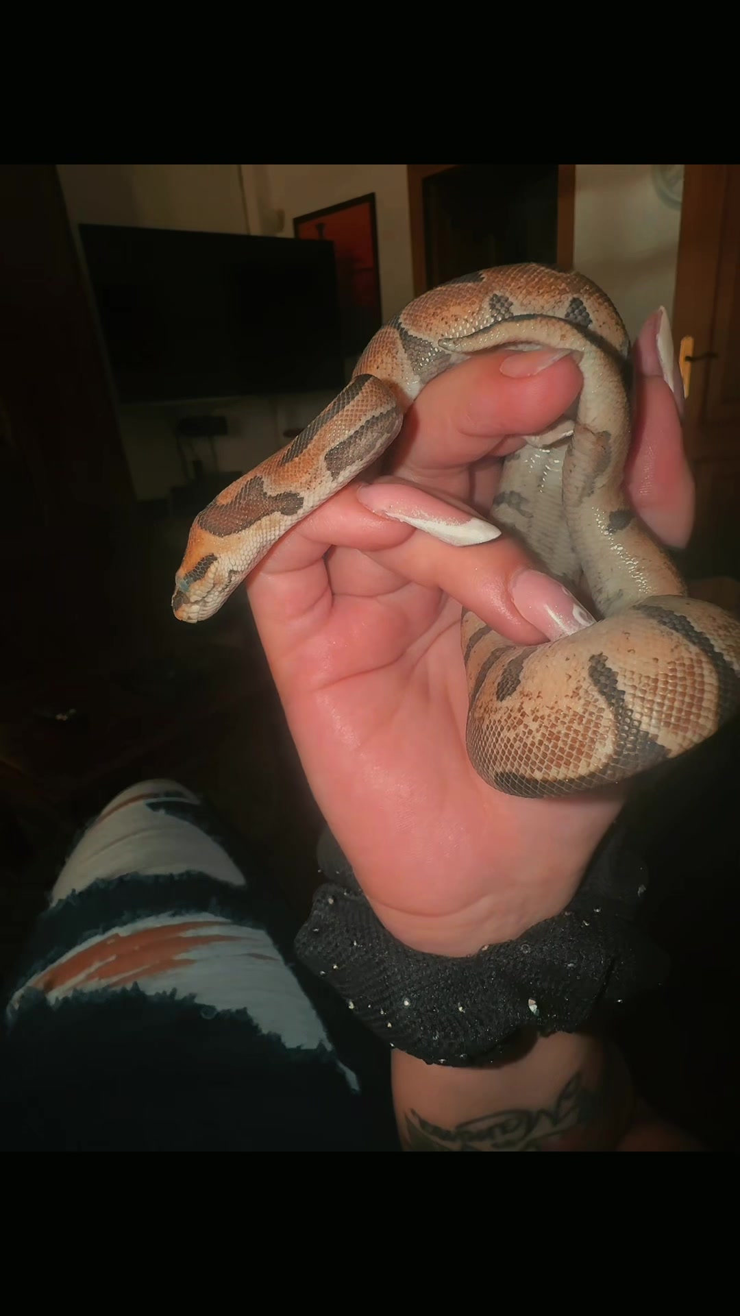 @🖤la serpe🐍