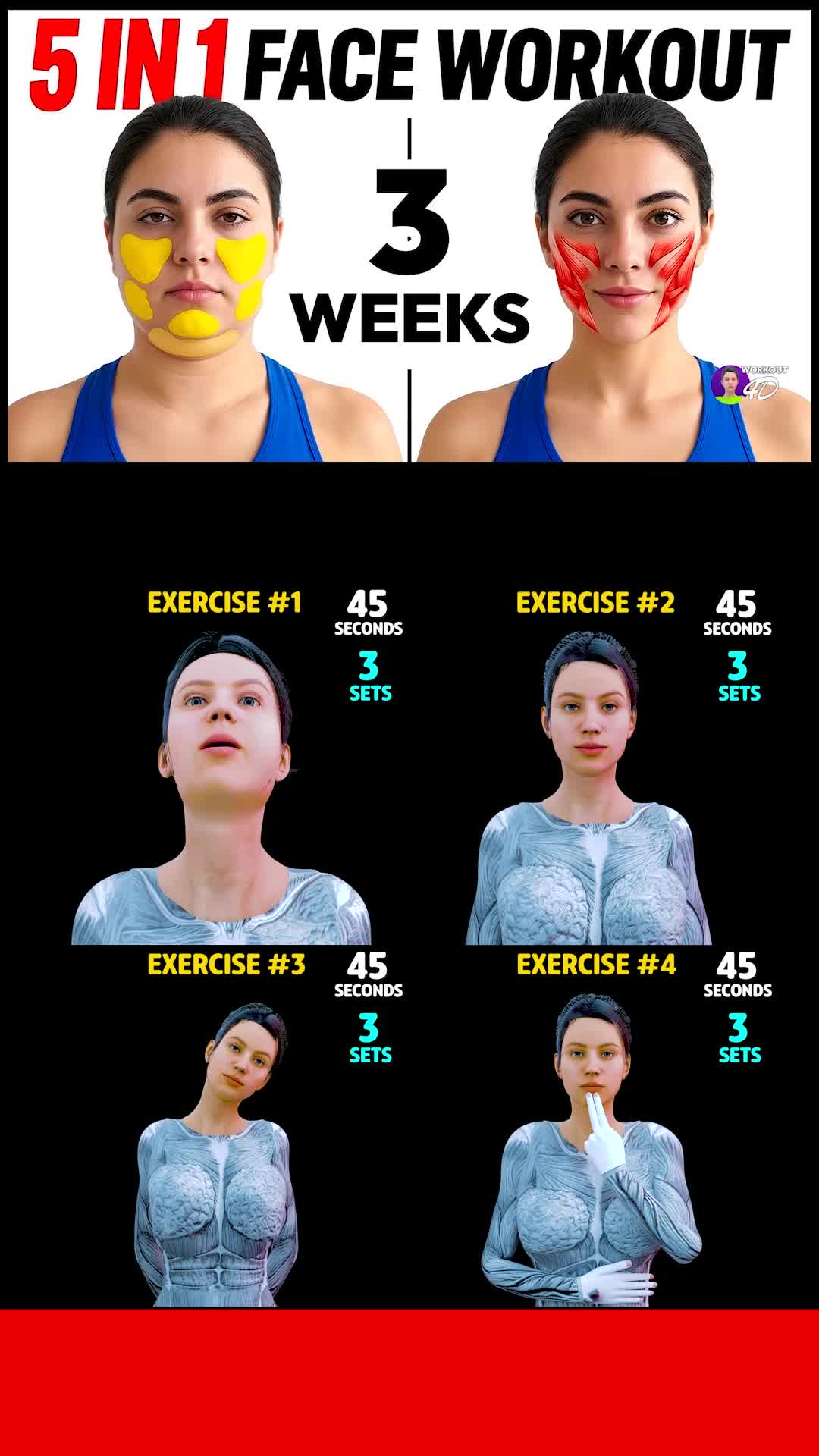 @Workout 4D Official