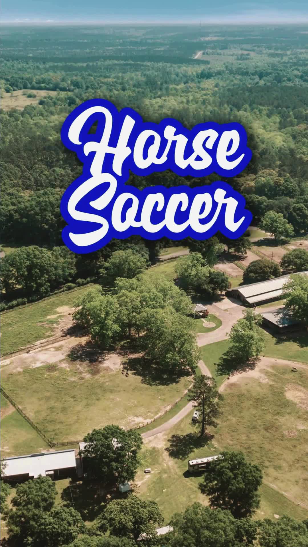 @Horse Help