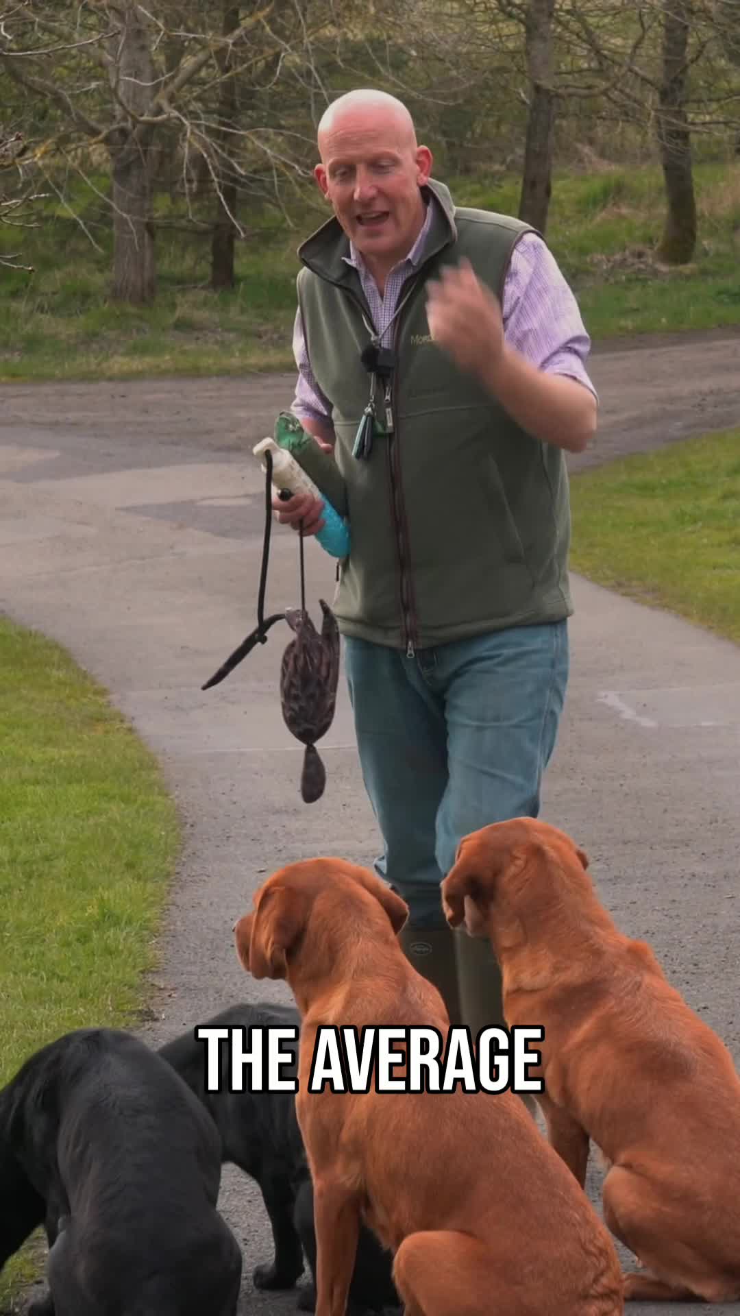 @Mordor Gundogs