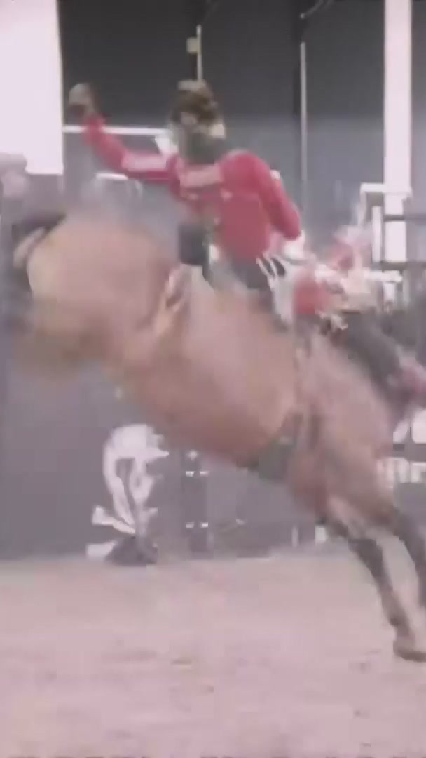 @cowboy_plus