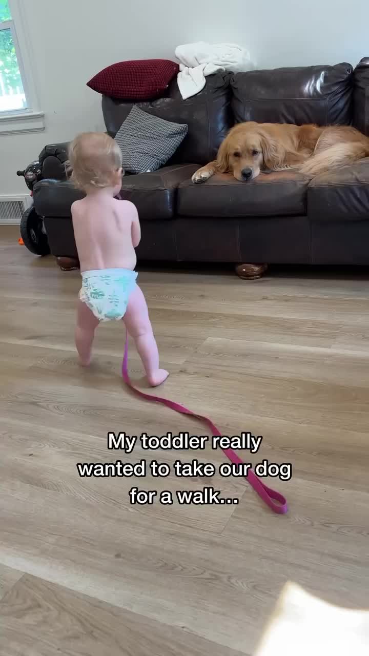 @Dev | mom + dog mom