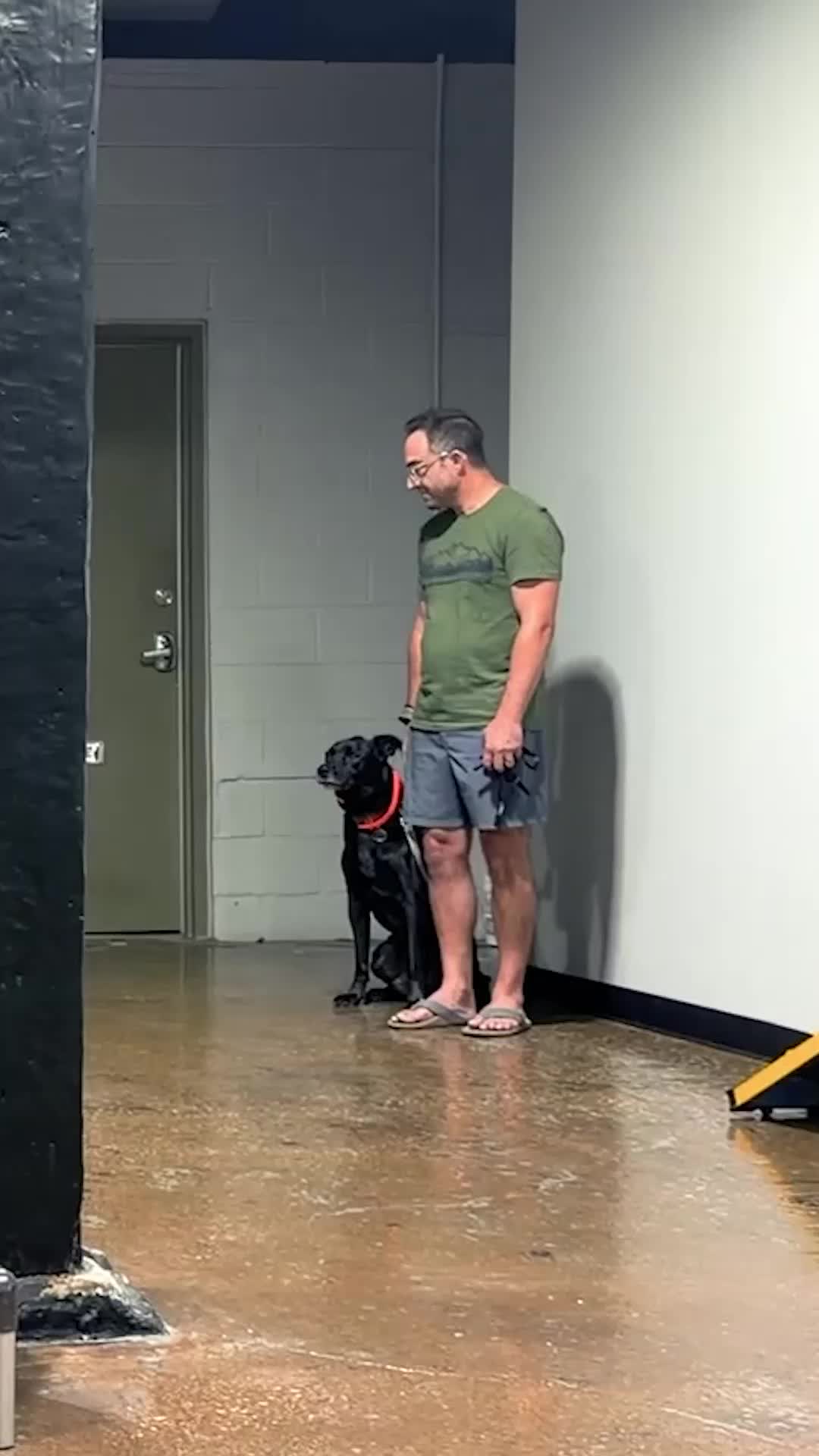 @Miracle K9 Training