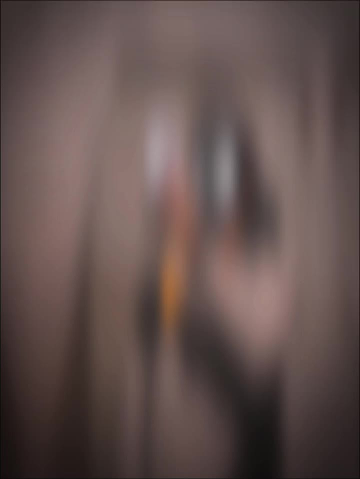 @𝑺𝑨𝑨𝑫𝑰