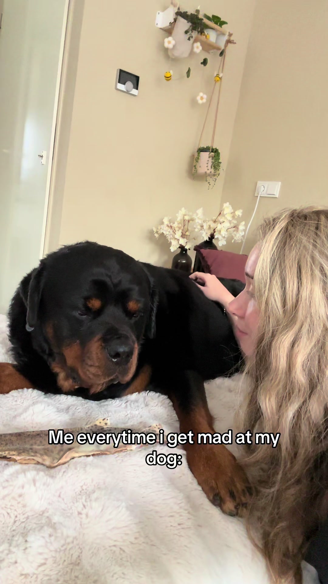 @Dyce de rottweiler