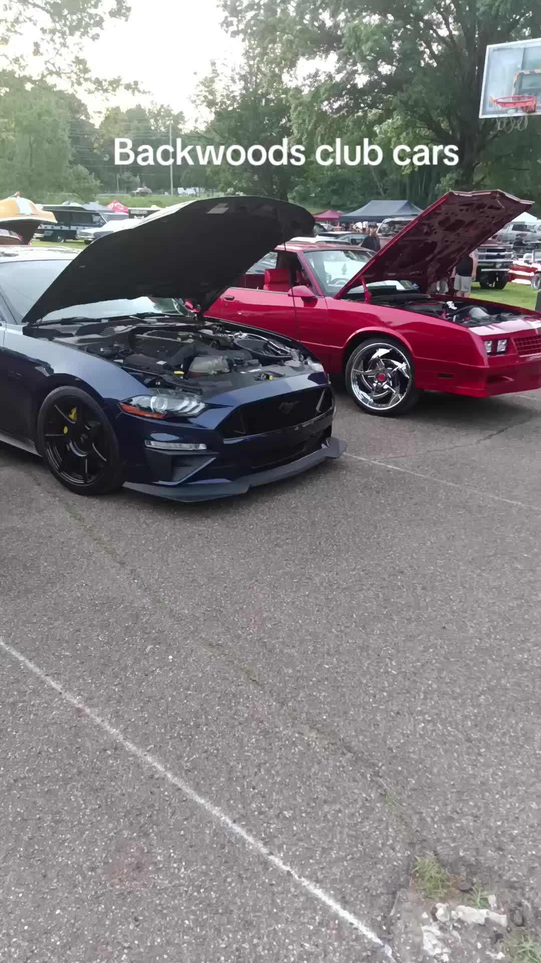 @Barnratz