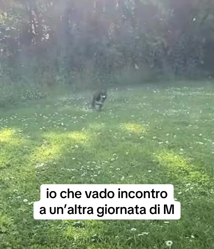@Umberto Marasco