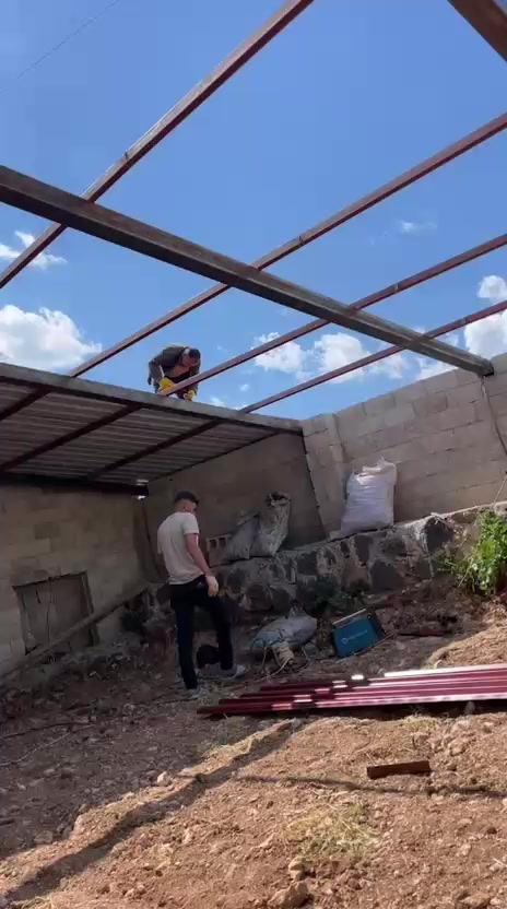 @ibo buzağıcı