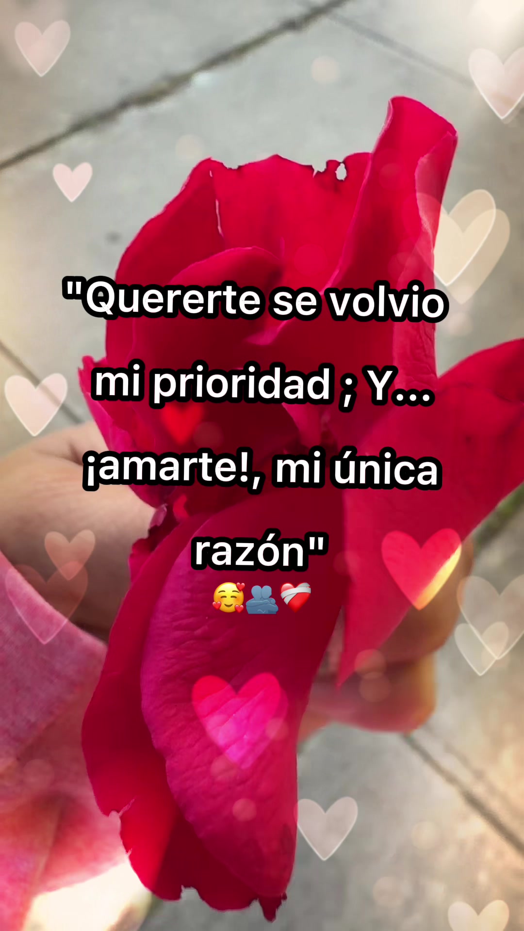 @Paola