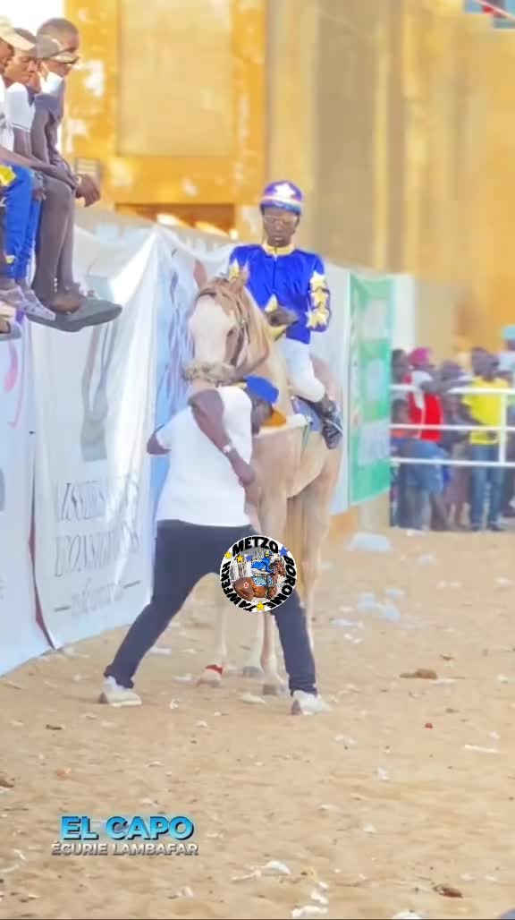 @Metzo🐎 bou tawfekh⚔️