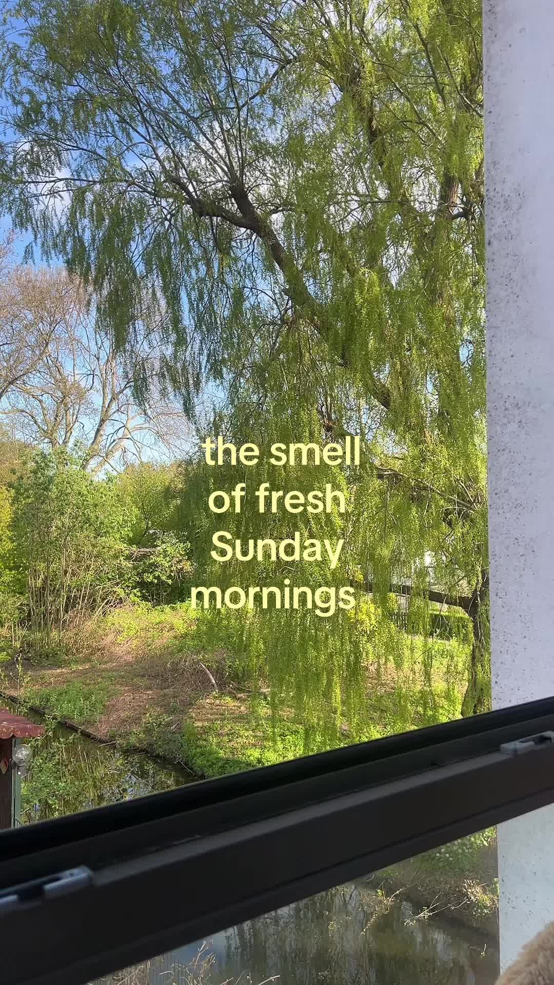 @miya 🍋