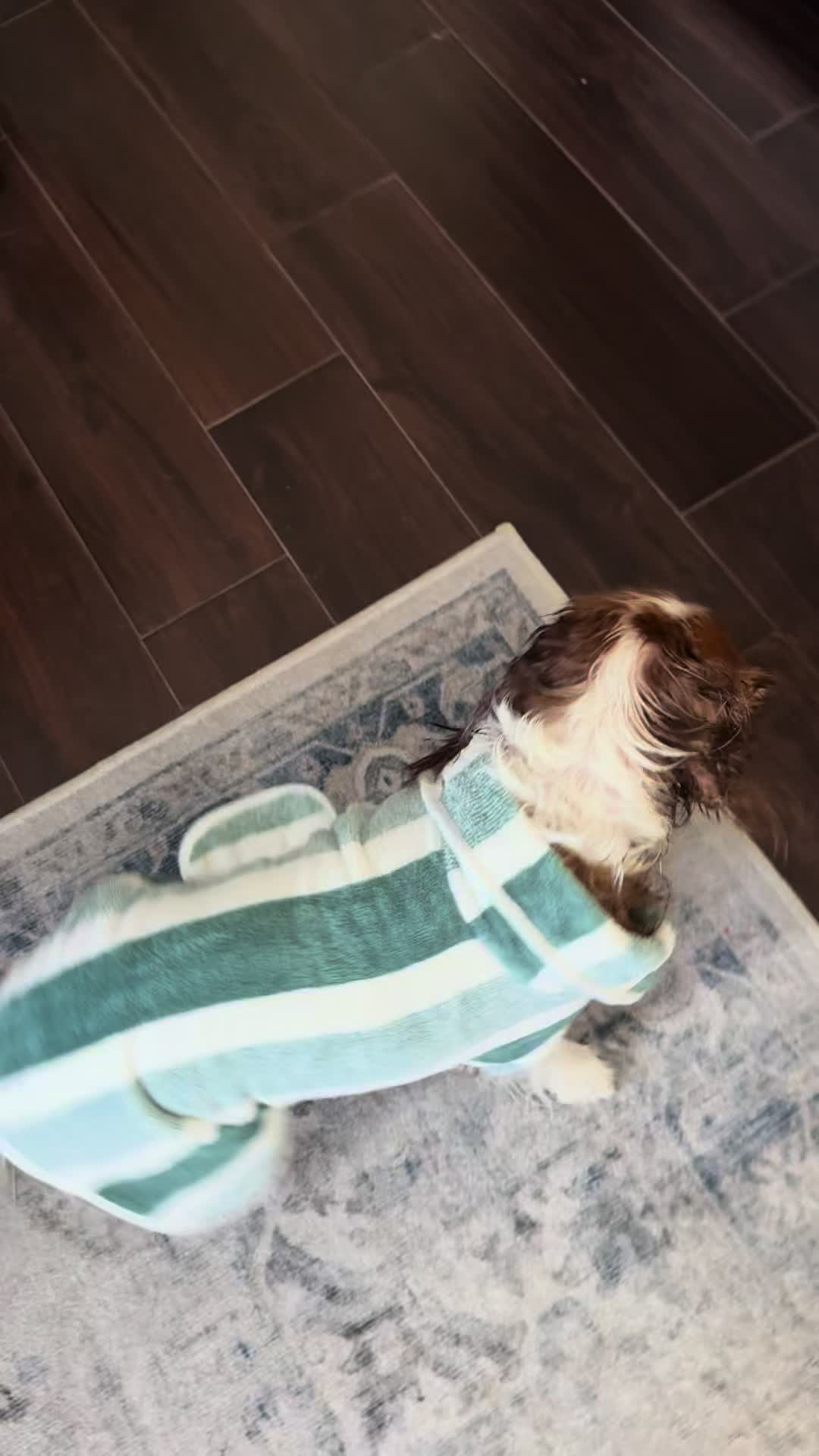 @annie_rae_the_cavalier