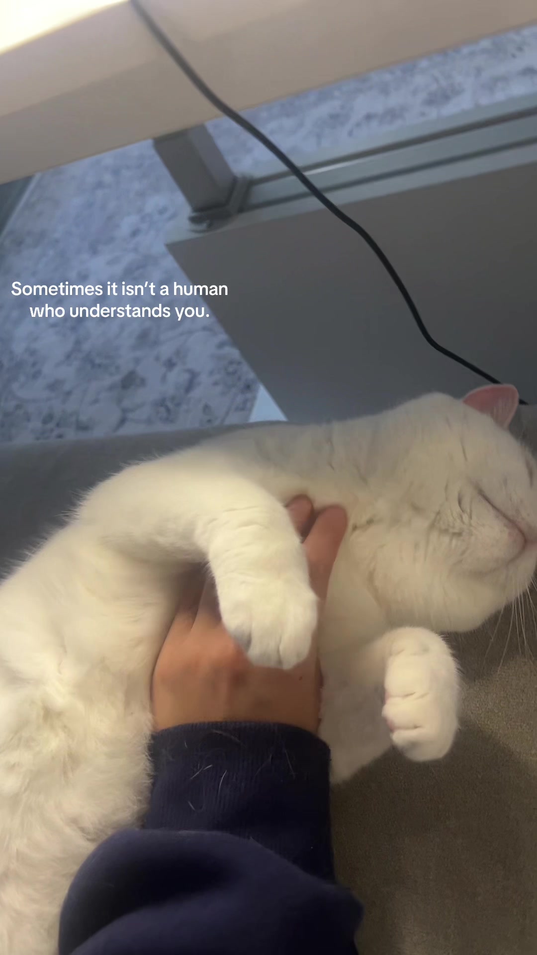 @ervadm
