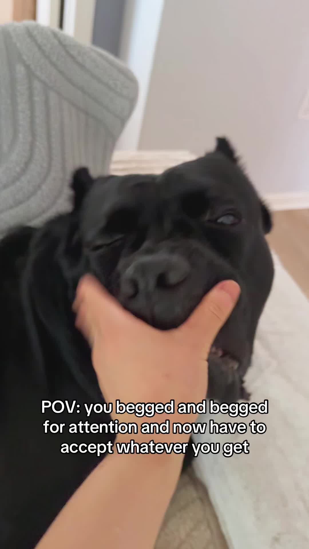 @Bentley Has Issues