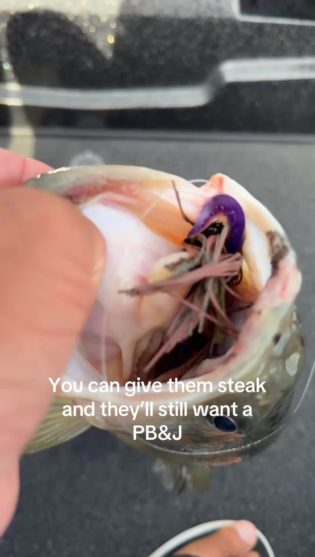 @LambFishing