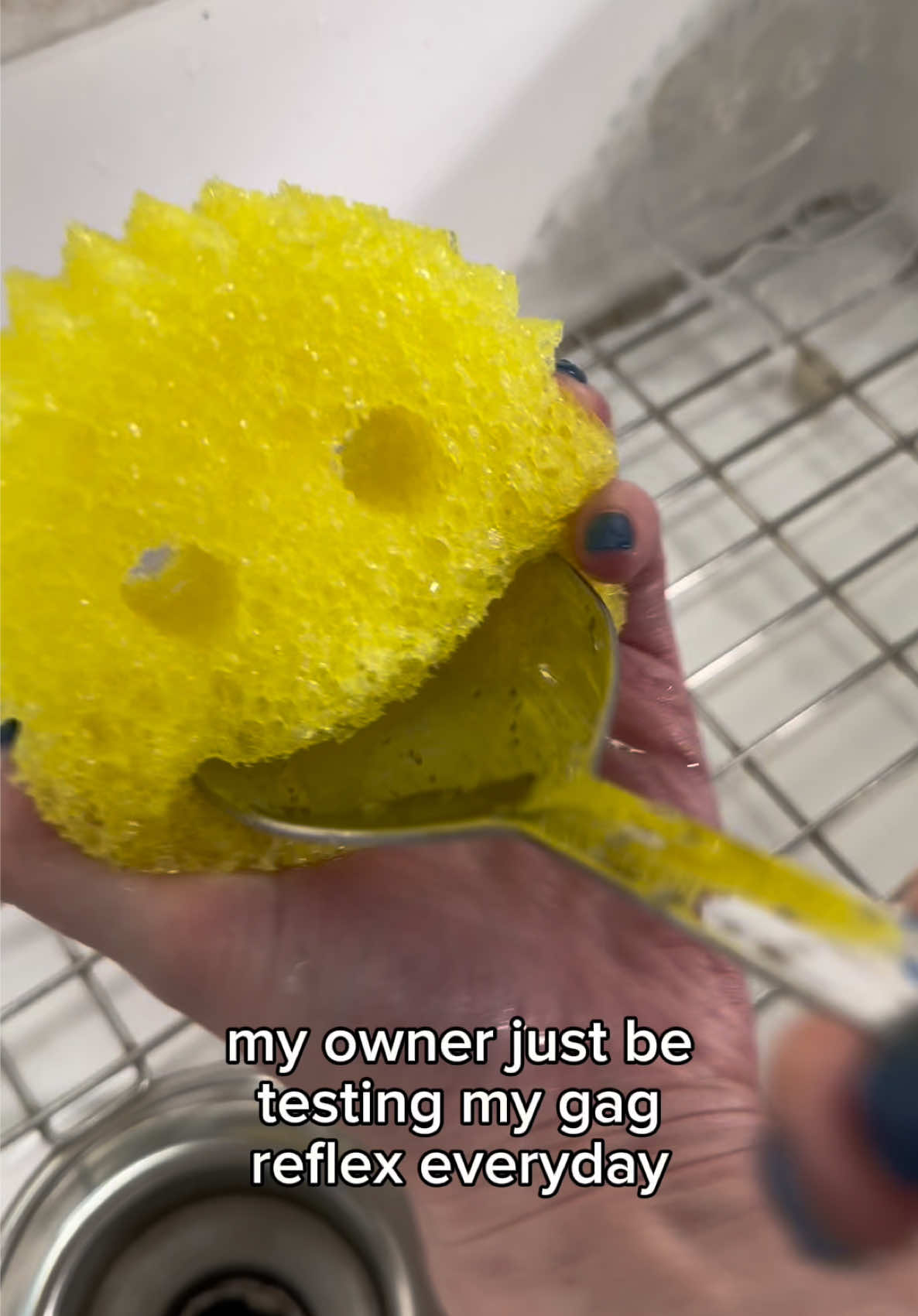 @Scrub Daddy