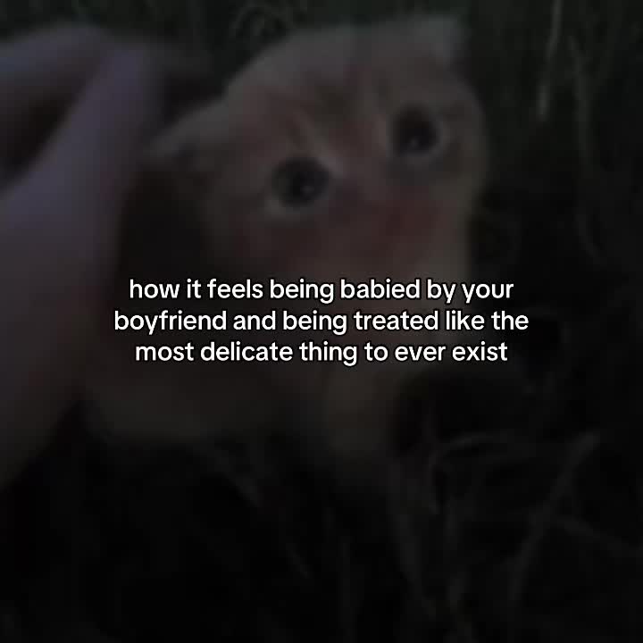 @Alice.cattok