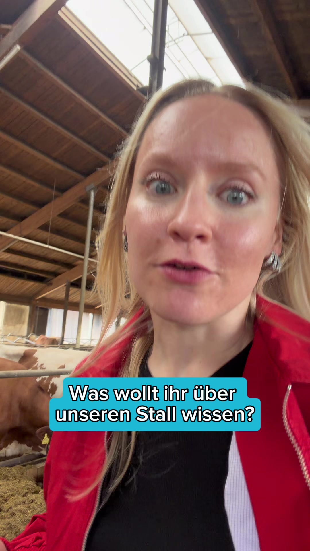 @Schwenks-Hofleben | SWR Heimat