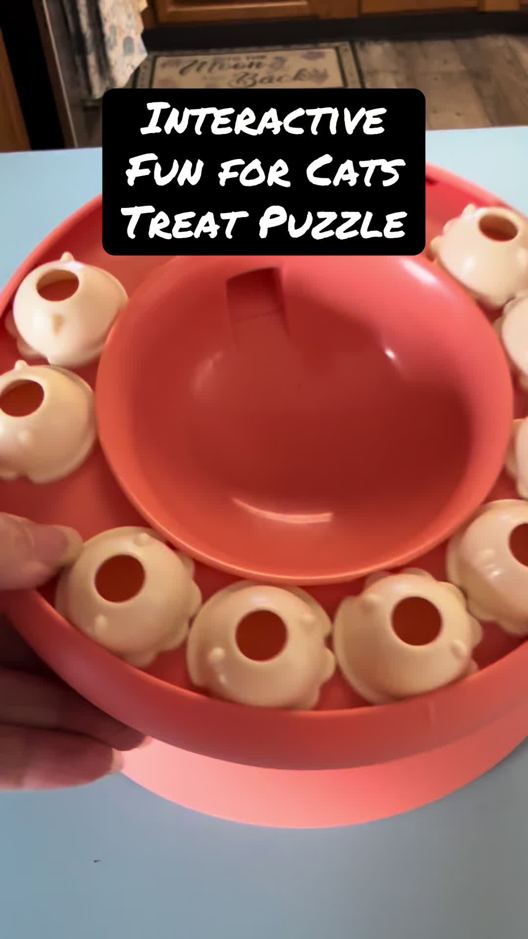 @Puffindoestricks