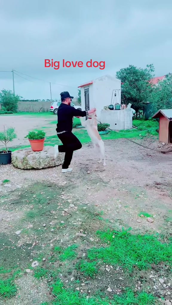 @singh_bobylubana