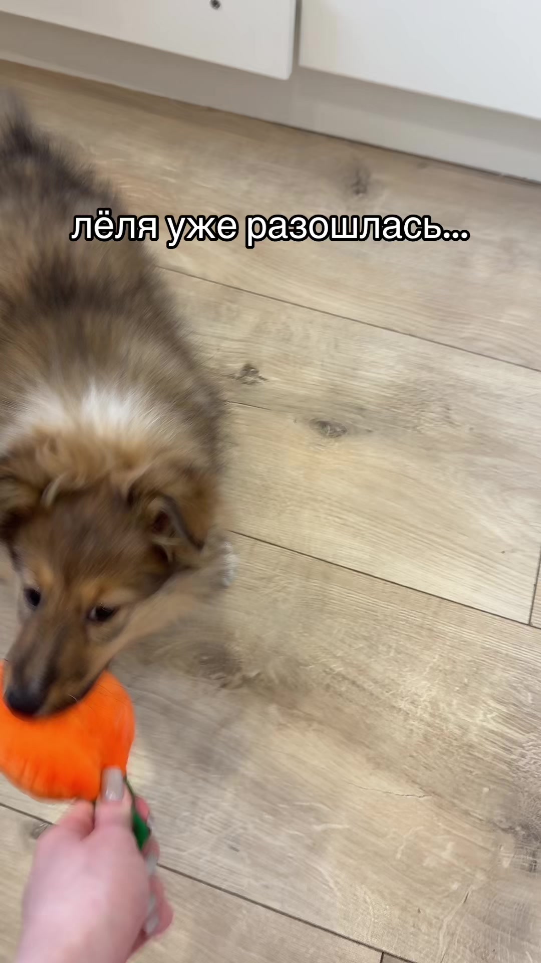 @улька