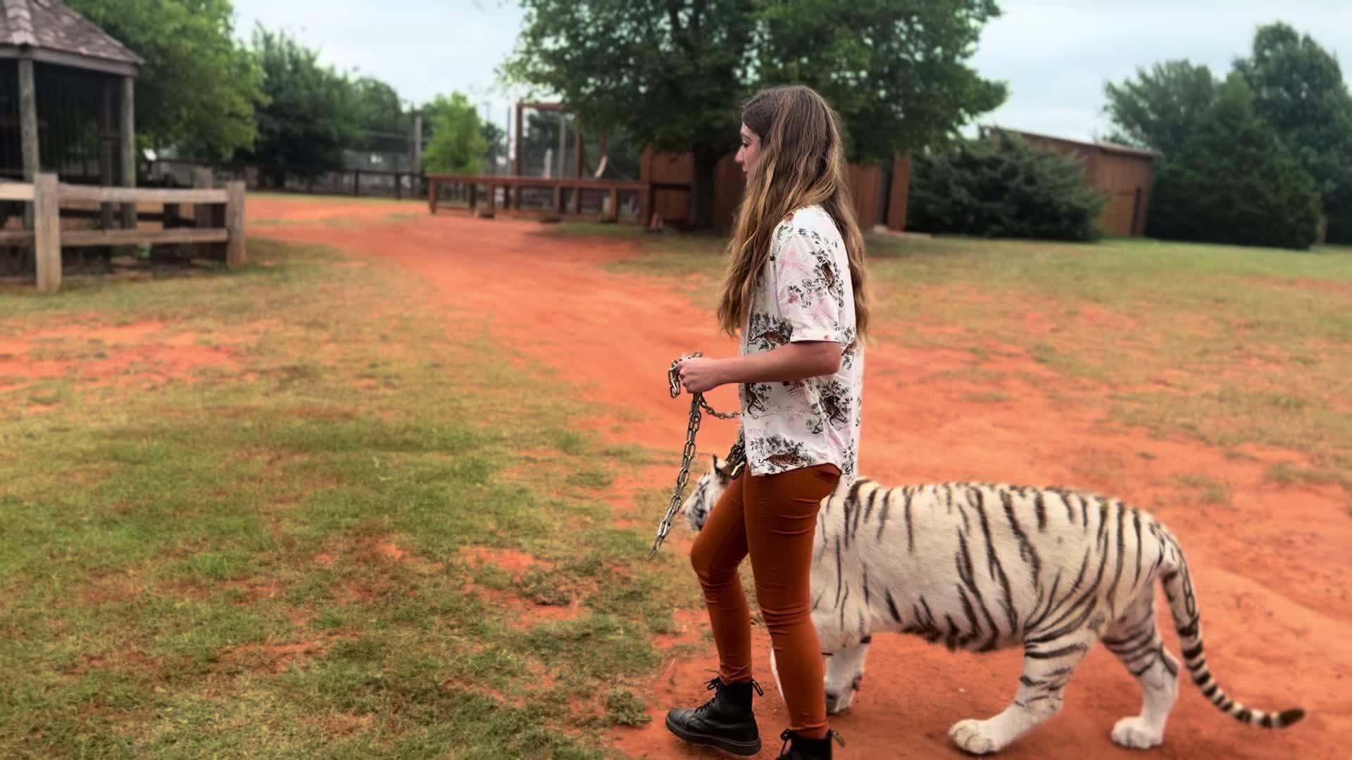 @Tigersafari