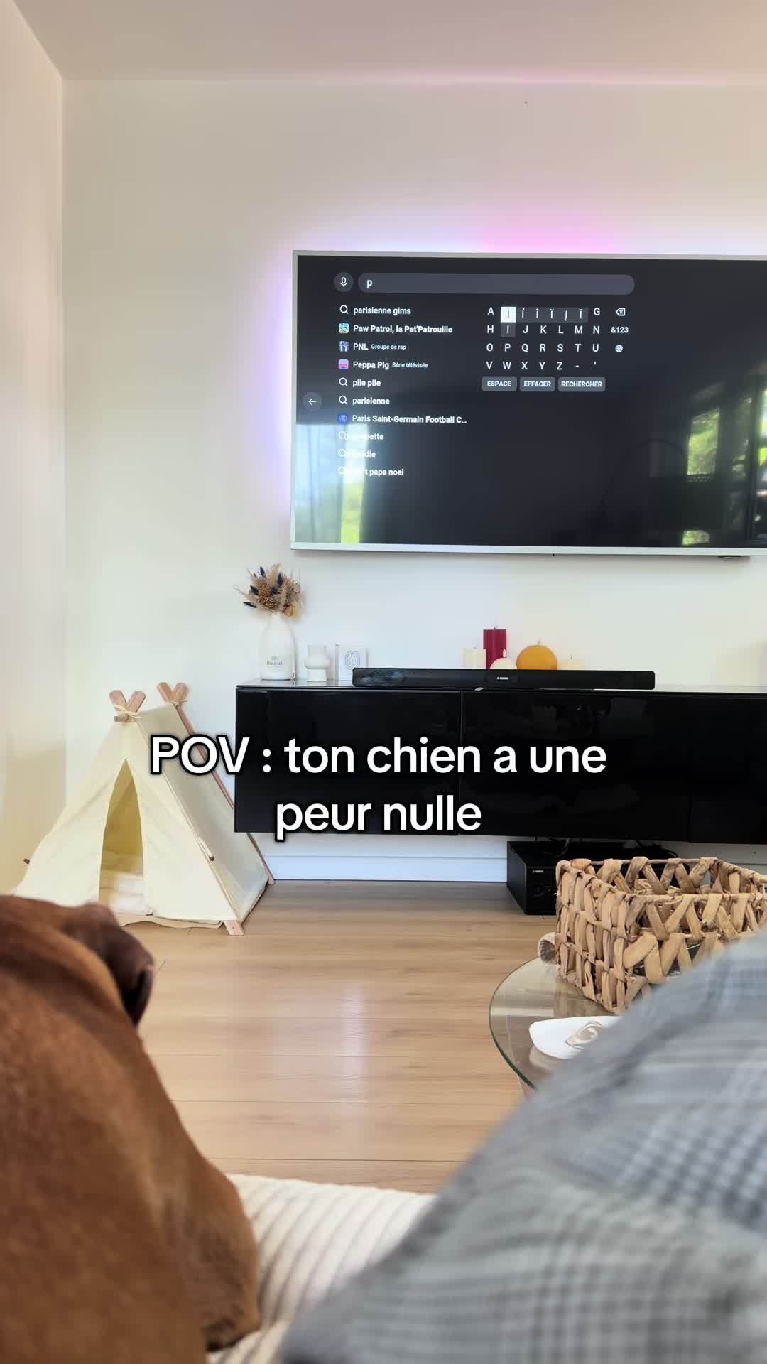 @Dogragnar 🐶👑