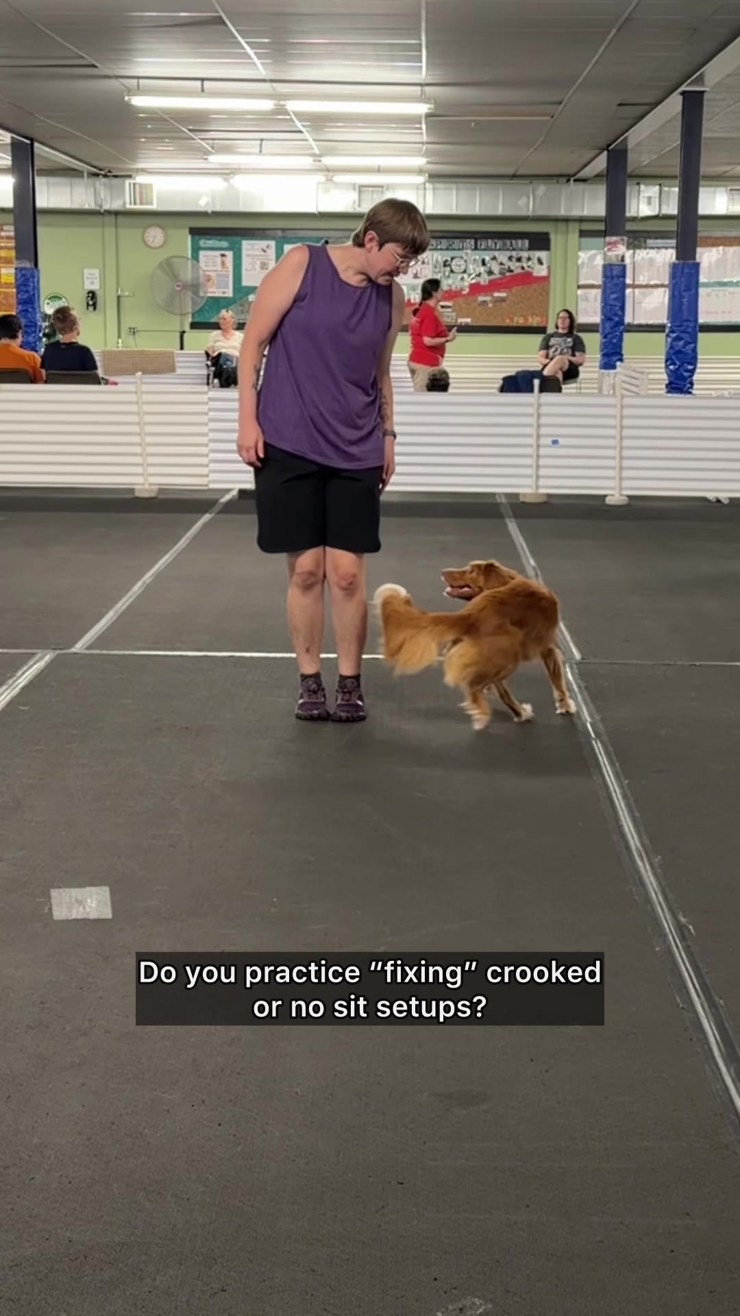 @Laura Waudby - Dog Sports