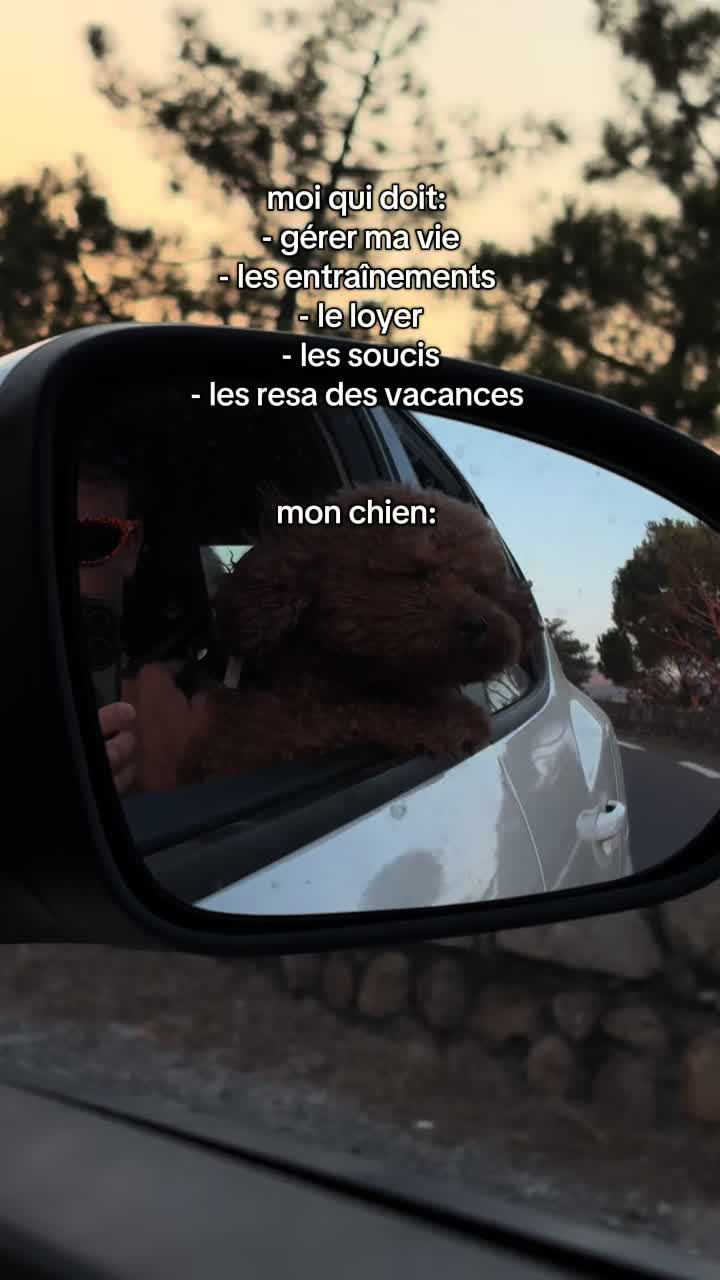 @romguignard