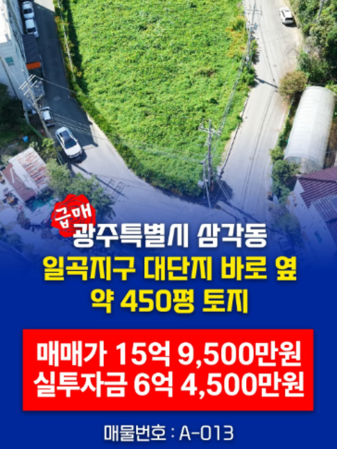 @부동산 전문가 박미란