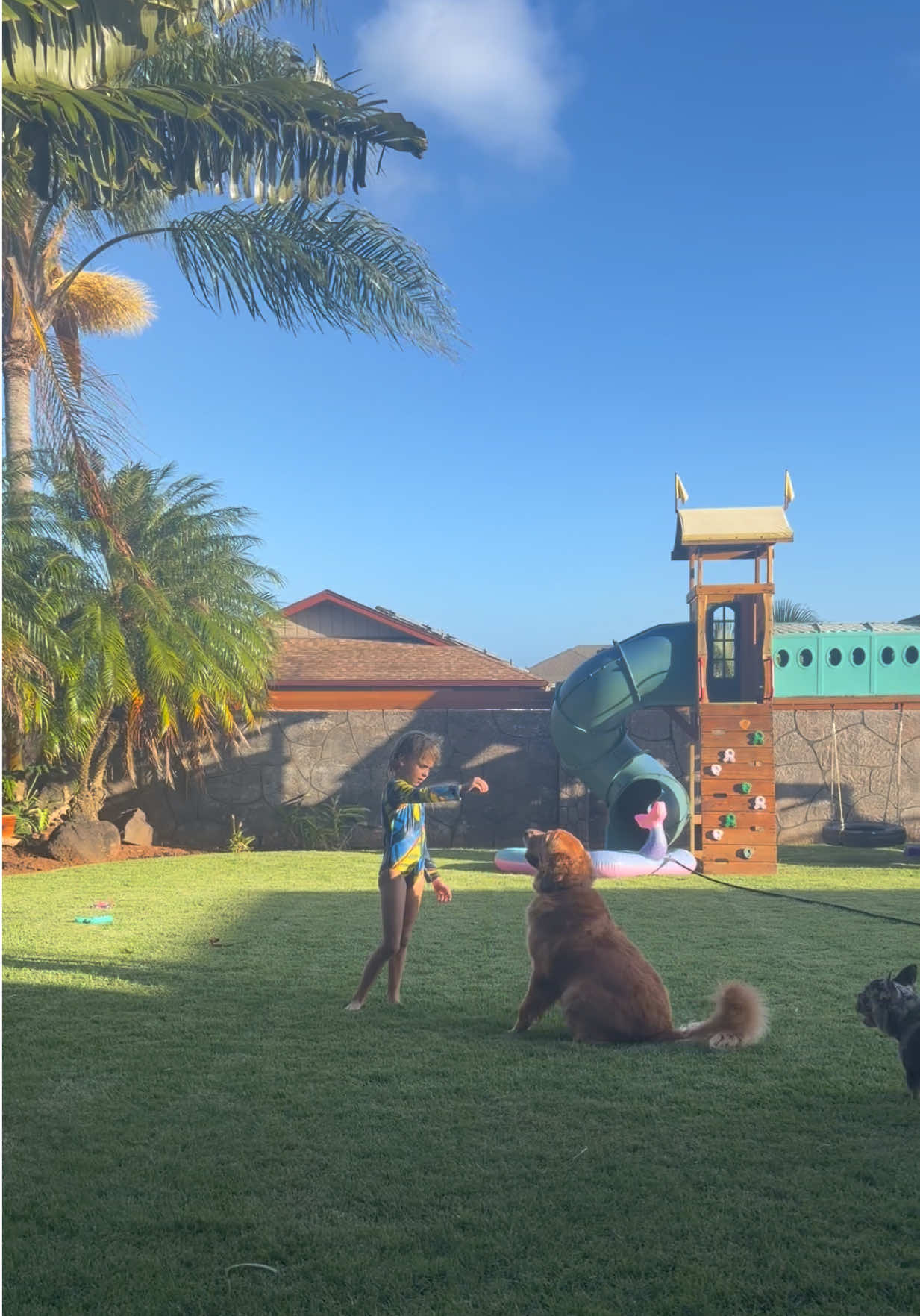 @banksohanatravels